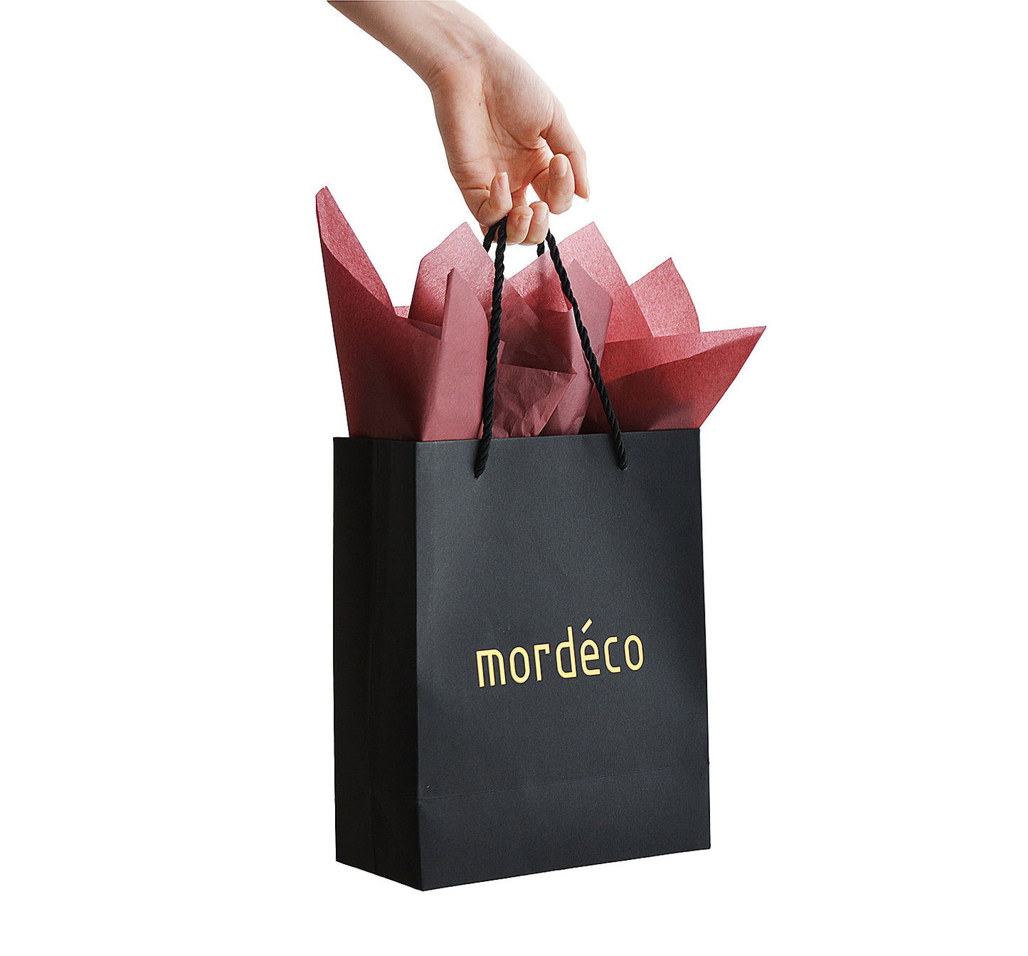 mordeco Revov Coin Container